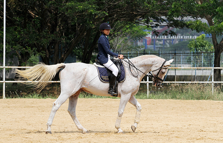 Disway-Pandesa Gelar Equestrian Competition, 27-28 November 2021